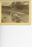 Unable to load Image